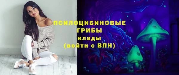 амфетамин Козловка