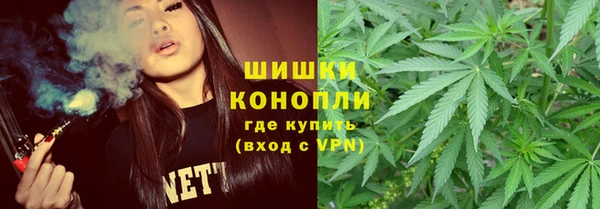 трава Козельск