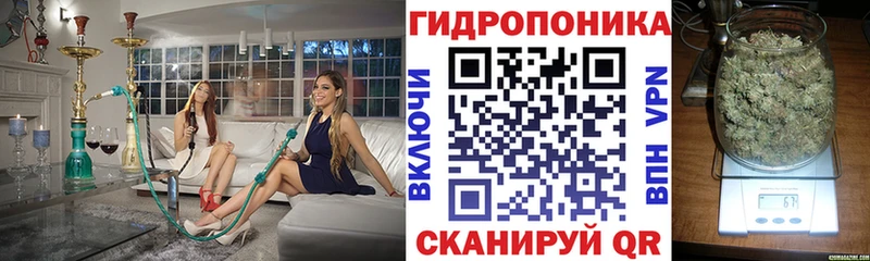 сколько стоит Тбилисская Бошки марихуана гибрид